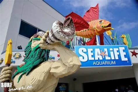 Legoland Sea Life Aquarium Debuts Jellyfish Discovery