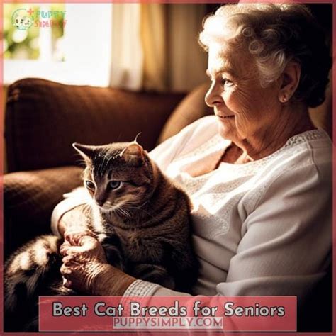 Best Dog And Cat Breeds For Senior Companions