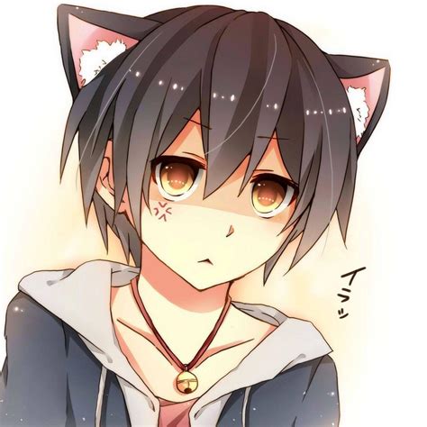 Cute Anime Cat Boy Black Hair