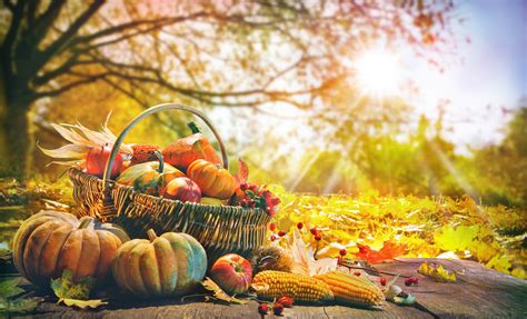 Pioneer Days Fall Harvest Peoria Park District