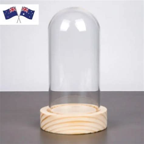 Tabletop Centerpiece Glass Bell Shape Dome Clear Glass Bell Jar Home