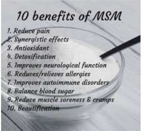 The 10 Top Benefits Of Msm • Chasing The Sunshine Blog