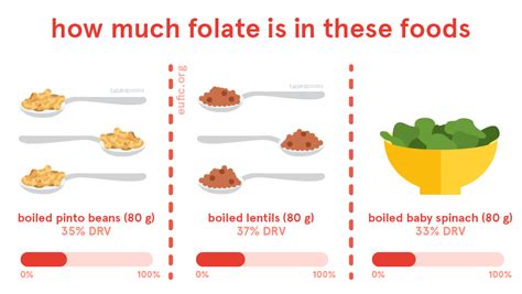 Folate Foods Functions How Much Do You Need And More Eufic