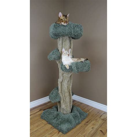New Cat Condos Large Play 51 In Cat Tree
