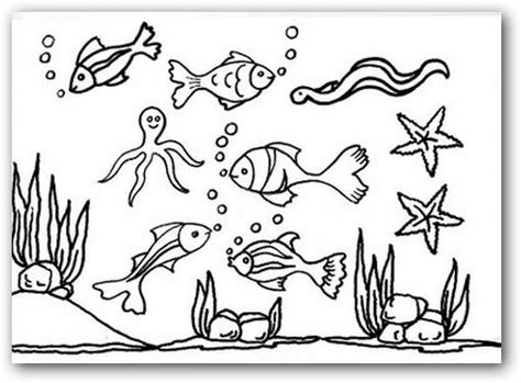 Dibujos Para Colorear Los Animales Del Mar Dibujos Para Colorear