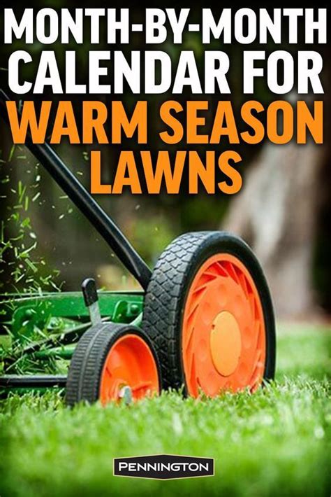 For more info, check out how to aerate & dethatch your lawn. Best Place to find perfect lawn|overseeding lawn|when to fertilize lawn|reseeding lawn|lawn food ...