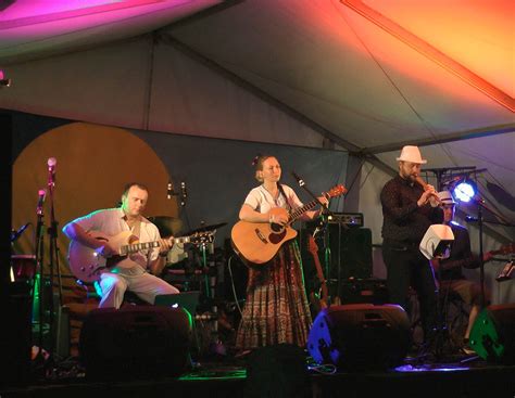 Illawarra Folk Festival 2020 Concert 1 Vgmates