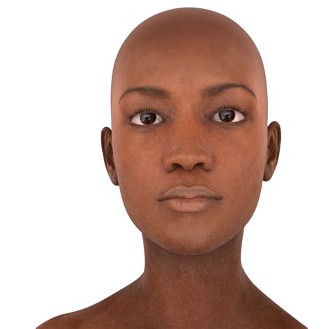 African Female Head Br