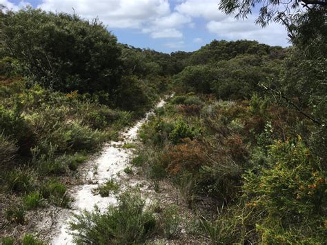 Bibbulmun Track Walpole To Denmark Cruisin Chronicles