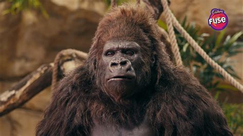 Cadbury Fuses New Ad Sees The Return Of ‘gorilla But Treads Close To