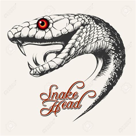 Snakes Head Drawing Drawing Image