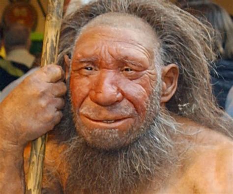 Neanderthals Modern Humans Interbred Earlier Than Thought