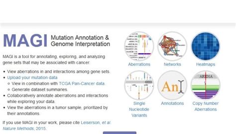 Magi Excellent App That Allow Scientists To Study Cancer Genetics