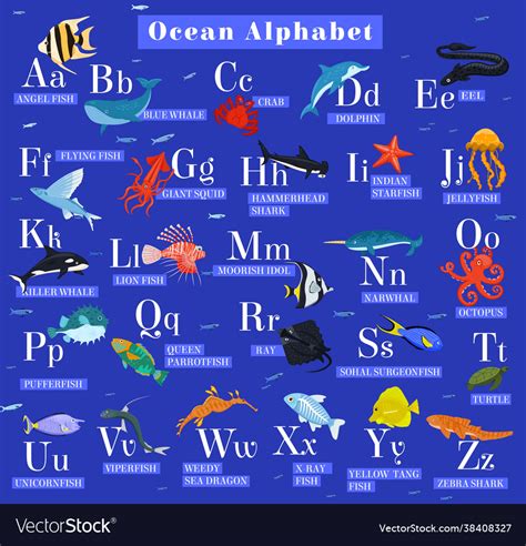 Sea Animals Alphabet Abc For Children Learning Vector Image