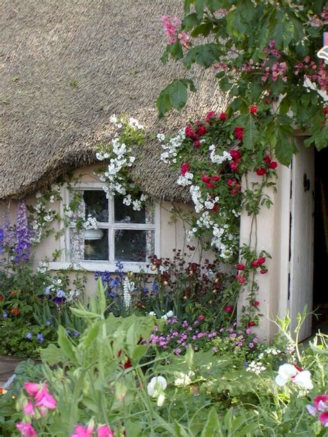 How To Create An English Cottage Garden