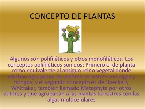Septimo 1 Las Plantas