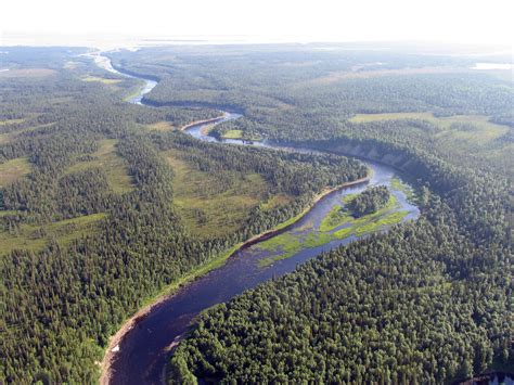 Wwf And Mondi Towards Sustainable Forestry In Russias Boreal Forest Wwf