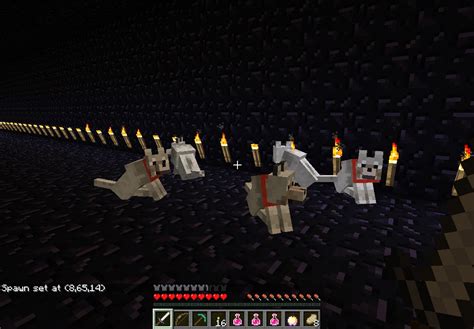 You And Your 5 Wolves Mob Arena Alpha Minecraft Map