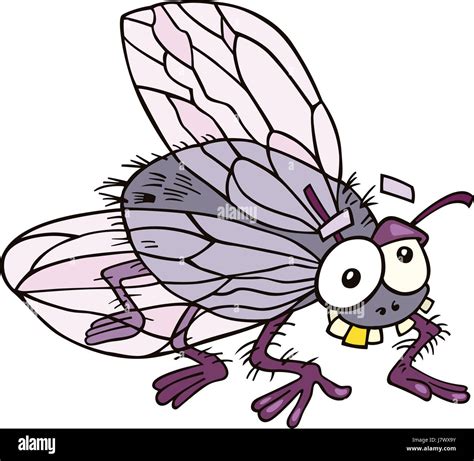 Insect Illustration Funny Bug Cartoon Fly Flies Flys Flying Comics