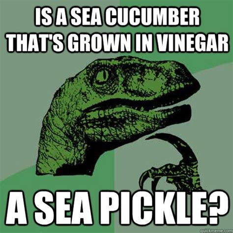 is a sea cucumber that s grown in vinegar a sea pickle philosoraptor quickmeme
