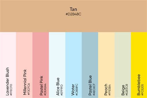 Tan Color Its Meaning Codes And Top Palette Ideas Picsart Blog