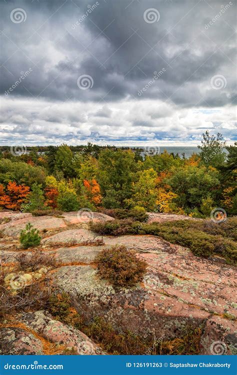 Fall Colours On A Trail Overlook Stock Image Image Of Autumn Leaf
