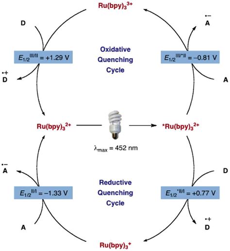 Oxidative And Reductive Quenching Cycles For Ru Bpy Reprinted Download Scientific