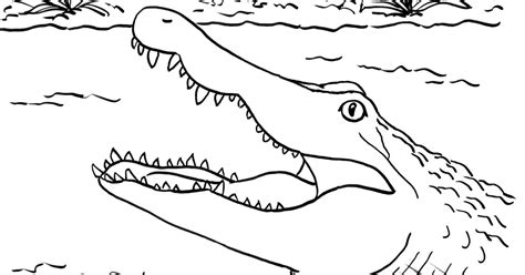 Coloring pages of baby crocodile coloring home. Alligator Coloring Page - Art Starts