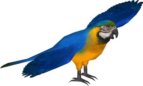 Macaw Download Png Image Png Mart