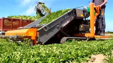 Amazing Agriculture Machine Modern Technology Harvesting Youtube