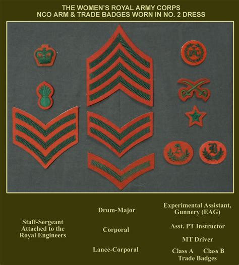 Badge25 Military Ranks Canadian Military Military Insignia Military