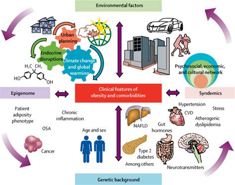 Precision Medicine Diagnosis And Management Of Obesity The Lancet