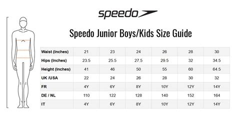 Speedo Womens Size Chart Sizing Fit Guide Noodle Bagz