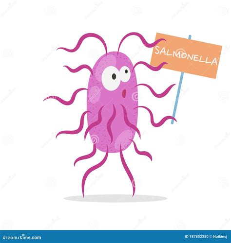 Salmonella Bacteria Disease Cell Vector Cartoon CartoonDealer Com