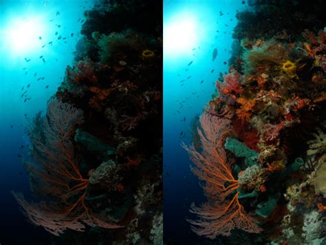 Underwater Photography Principles Of Light Underwater