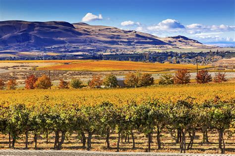 10 Stunning Walla Walla Wineries To Visit This Fall