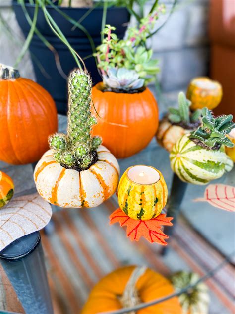 Pumpkin And Gourd Crafts With Megan Pando On Good Day Columbus Fox 28