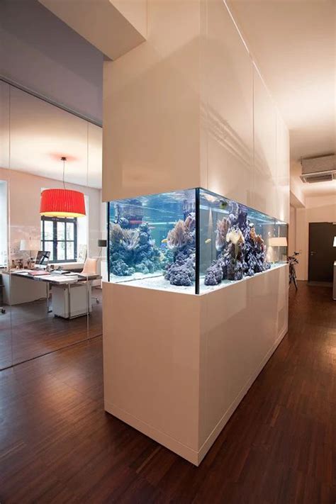 Amazing Aquarium Divider Wall For Office Space Homemydesign