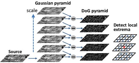 But there is abundant intuitions and implications behind those formulas. dog pyramid sift