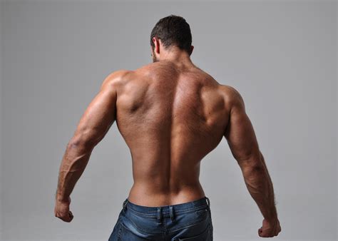 A Back Workout Program How To Build A More Powerful Muscular Back