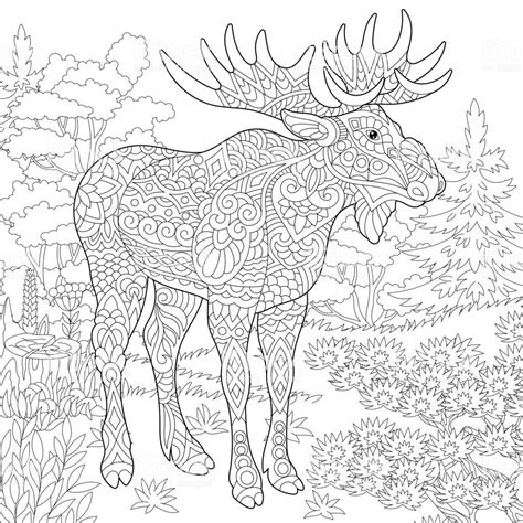 Https://techalive.net/coloring Page/adult Coloring Pages Moose