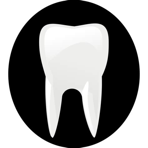 Tooth Molar Png Svg Clip Art For Web Download Clip Art Png Icon Arts