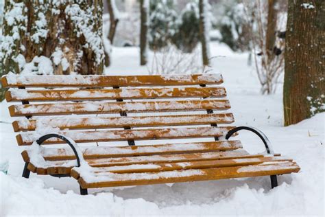 Benches In Park After A Snowfall In Winter Stock Image Image Of