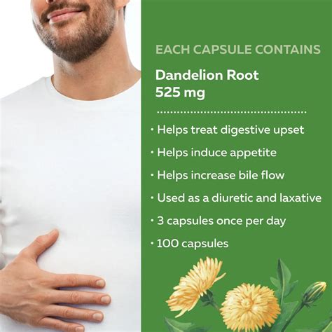 Natures Way Dandelion Root 100 Capsule