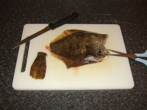 How To Cook Flounder With Recipes Delishably