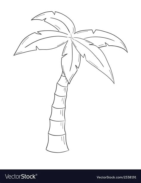 Sketch Of The Palm Tree On White Background Isolated Download A Free