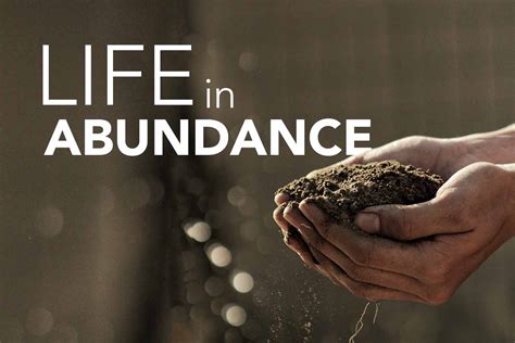 Life in Abundance - LSESD
