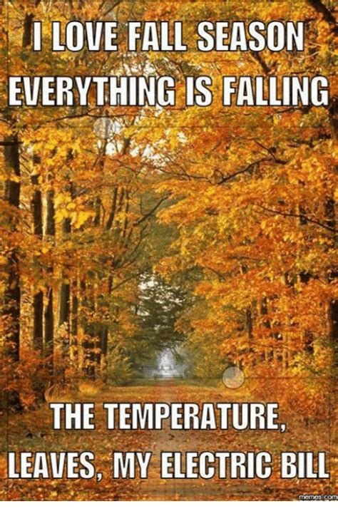 I Love Fall Season Everything Is Falling The Temperature