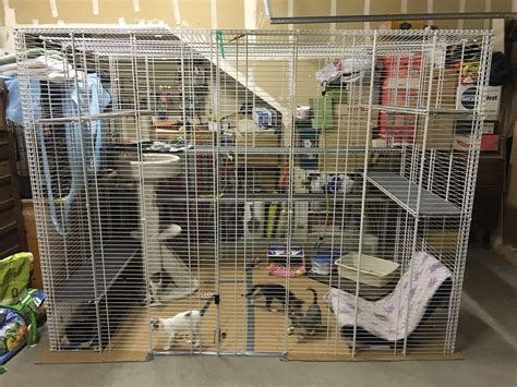 She is an inside dog. Safe, inexpensive cat enclosure | Cat enclosure, Cat ...