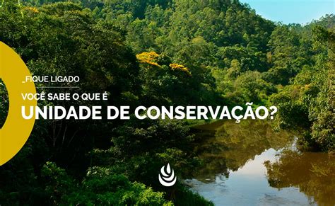 Tratando-se De Unidades De Conservação Considera-se Unidade De Proteção Integral